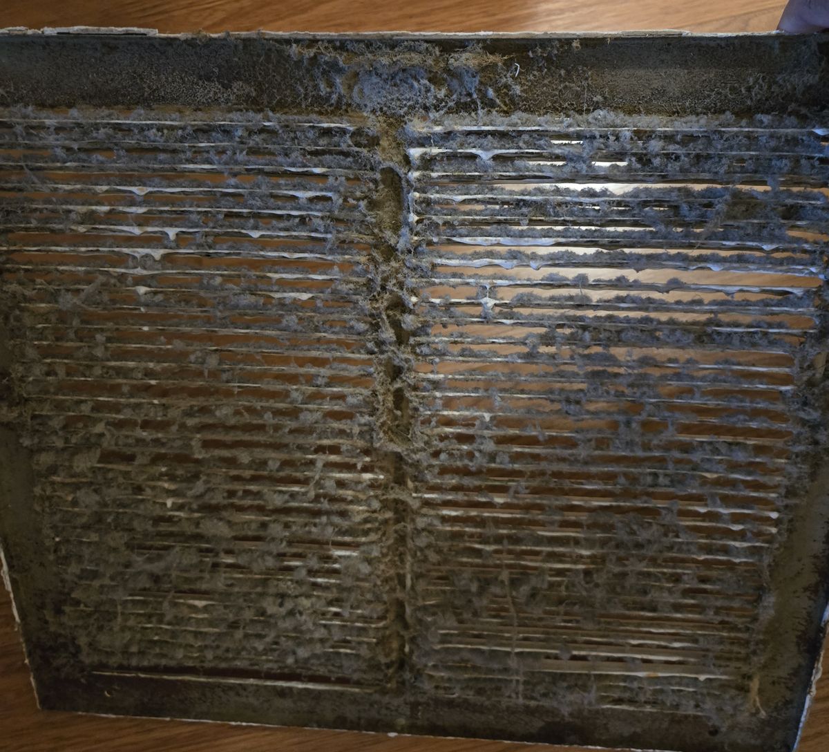Back of a return air grille caked with dust and debris
